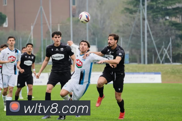 纬来体育直播官网平台生态图