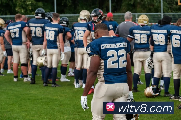 纬来体育直播官网全站App