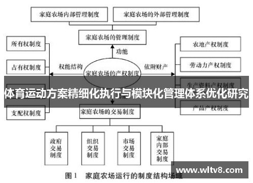 体育运动方案精细化执行与模块化管理体系优化研究